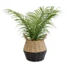 20cm Palm Artificial Plant In Natural Wicker Basket -Outdoor Garden 20cm palm artificial plant in natural wicker basket5010795682577 01c bq