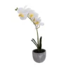25cm White Orchid Artificial Plant In Grey Ceramic Pot 2 25cm White Orchid Artificial Plant In Grey Ceramic Pot -Outdoor Garden 25cm white orchid artificial plant in grey ceramic pot5010795682669 02c bq