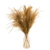 49cm Natural Pampas Grass Artificial Plant In Clear Glass Vase -Outdoor Garden 49cm natural pampas grass artificial plant in clear glass vase5010795682621 01c bq