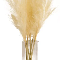 Front Page -Outdoor Garden 64cm white pampas grass artificial plant in clear glass vase5010795682614 01c bq