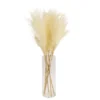 64cm White Pampas Grass Artificial Plant In Clear Glass Vase -Outdoor Garden 64cm white pampas grass artificial plant in clear glass vase5010795682614 03c bq