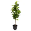 80cm Peperomia Artificial Plant In Black Ribbed Pot -Outdoor Garden 80cm peperomia artificial plant in black ribbed pot5010795687022 01c