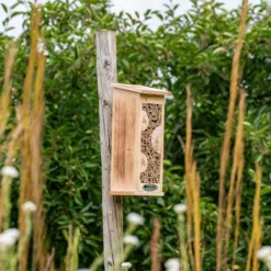 CJ Wildlife Floreana Natural Insect House -Outdoor Garden cj wildlife floreana natural insect house5051054255316 01i