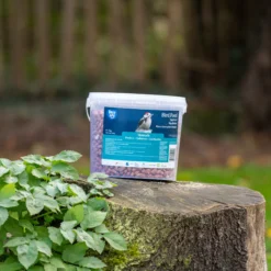 CJ Wildlife Peanuts 3kg 7 CJ Wildlife Peanuts 3kg -Outdoor Garden cj wildlife peanuts 3kg5051054259192 01i