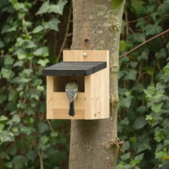 CJ Wildlife Viborg Natural Nest Box -Outdoor Garden cj wildlife viborg natural nest box5051054244457 01i