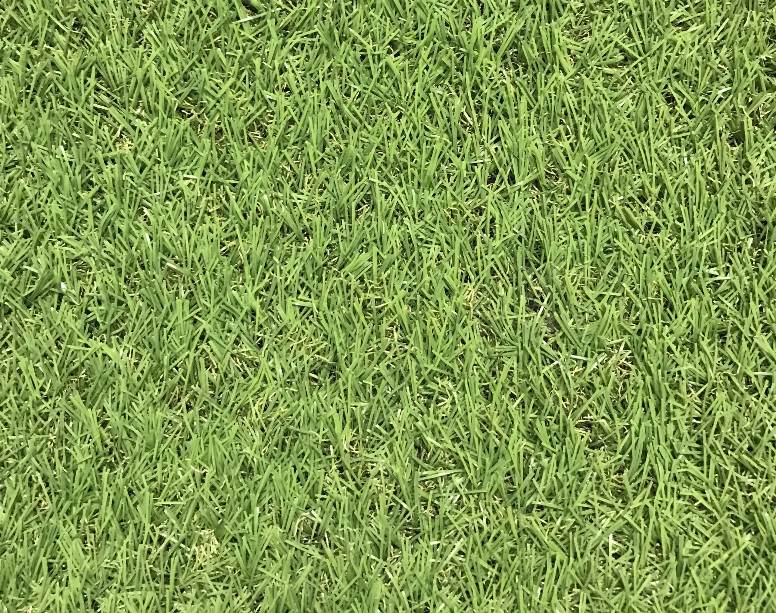 Dennis Medium Density Artificial Grass (L)4m (W)1m (T)22mm 3 Dennis Medium Density Artificial Grass (L)4m (W)1m (T)22mm