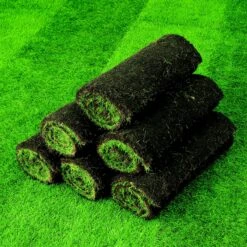 Lawn Turf, 25m² Pack 13 Lawn Turf, 25m² Pack -Outdoor Garden lawn turf 25m pack3663602195078 04i