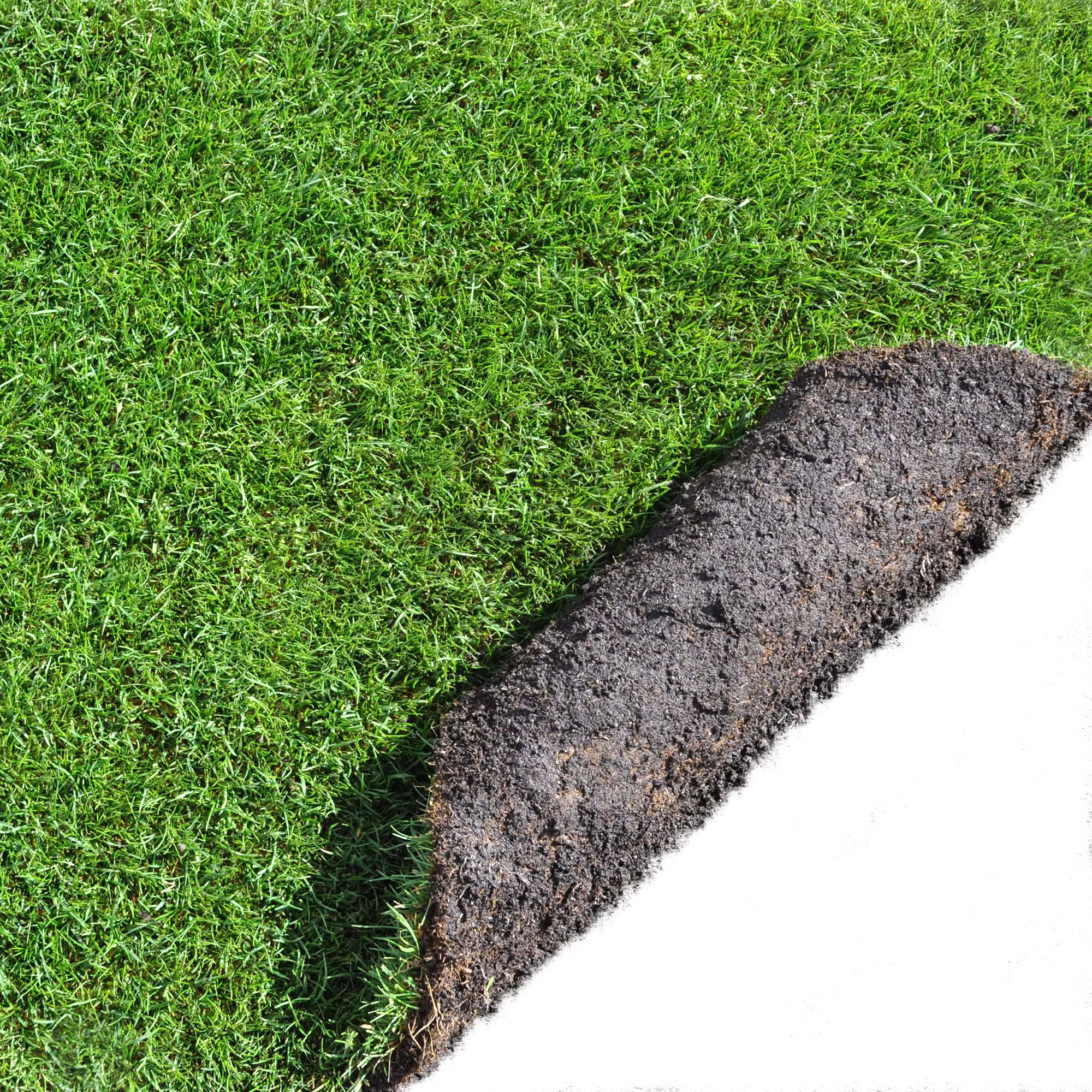 Lawn Turf, 42m² Pack 4 Lawn Turf, 42m² Pack - Image 2