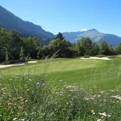 Meadowmat Wildflower Turf, 20m² Pack 14 Meadowmat Wildflower Turf, 20m² Pack -Outdoor Garden meadowmat wildflower turf 20m pack04168157 04i bq