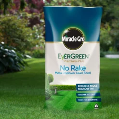 Miracle-Gro No Rake Lawn Fertiliser Granules 50m² 5kg 7 Miracle-Gro No Rake Lawn Fertiliser Granules 50m² 5kg -Outdoor Garden miracle gro no rake lawn fertiliser granules 50m 5kg5010272183764 01i BQ