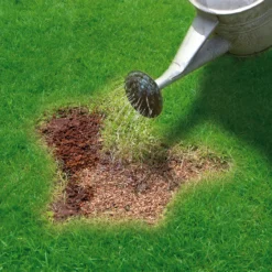Miracle-Gro Patch Magic Plant Feed 16m² 3.6kg -Outdoor Garden miracle gro patch magic plant feed 16m 3 6kg5010272087154 02i bq
