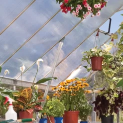 Palram Balance Silver 8x12 Greenhouse -Outdoor Garden palram balance silver 8x12 greenhouse7290103111465 38c