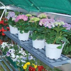 Palram - Canopia 1 Tier Greenhouse Shelving 8 Palram - Canopia 1 Tier Greenhouse Shelving -Outdoor Garden palram canopia 1 tier greenhouse shelving7290010027255 02i BQ