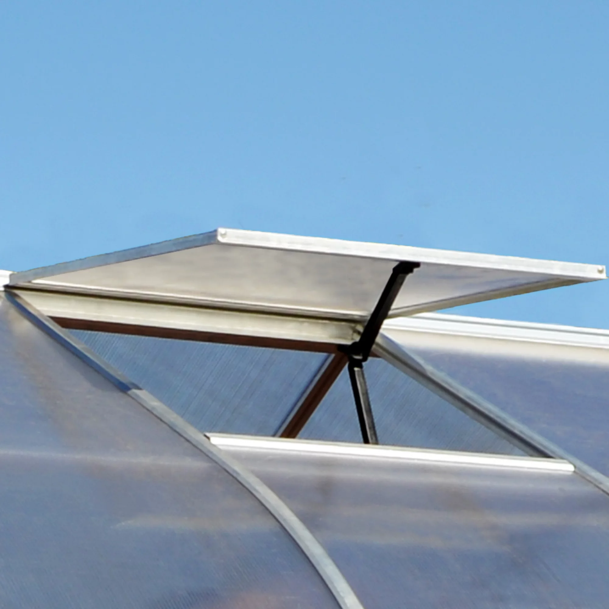 Palram - Canopia Bella 8x12 Greenhouse 7 Palram - Canopia Bella 8x12 Greenhouse - Image 5