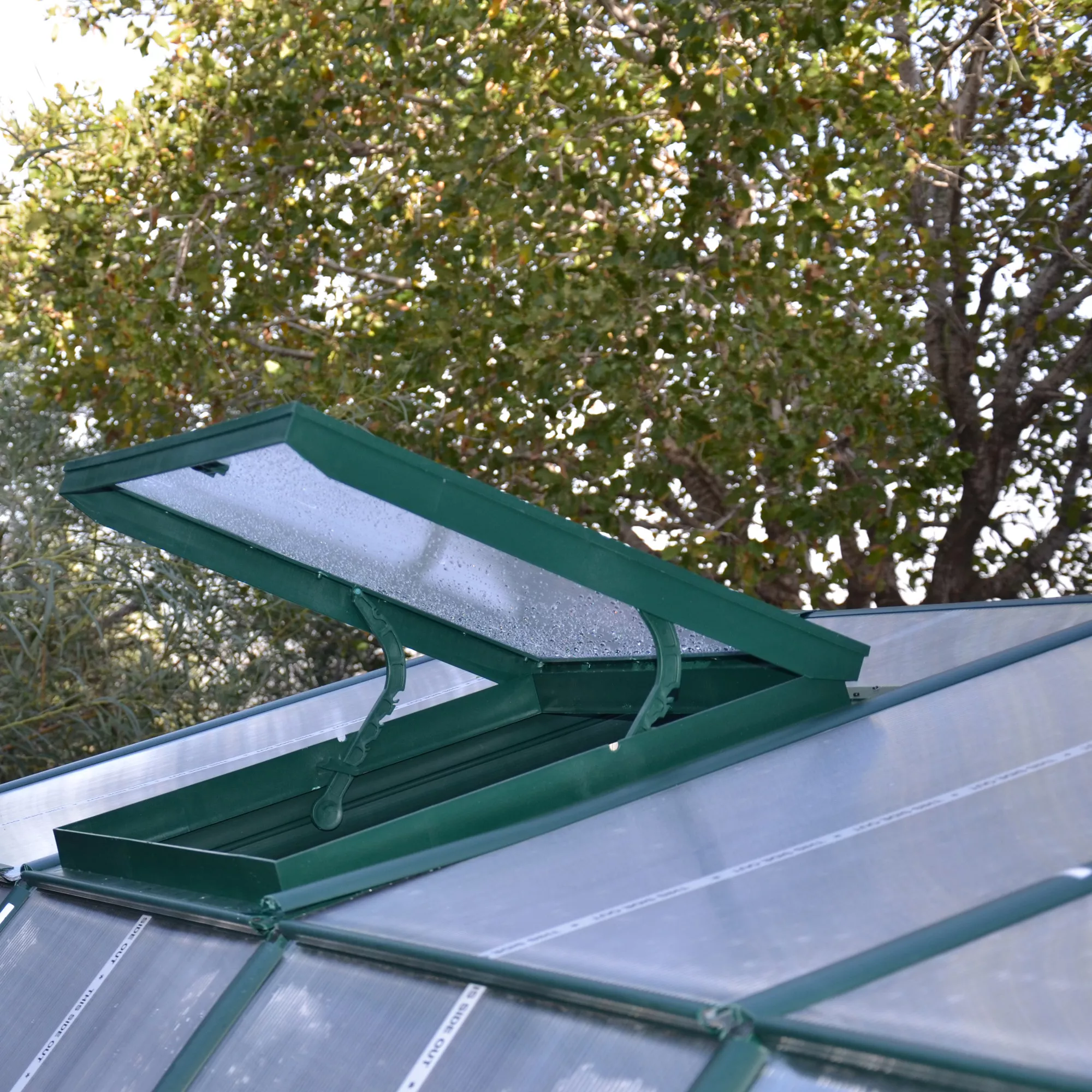 Palram - Canopia Eco Grow Green 6x6 Greenhouse 8 Palram - Canopia Eco Grow Green 6x6 Greenhouse - Image 6