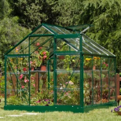 Palram - Canopia Harmony Green 6x10 Greenhouse -Outdoor Garden palram canopia harmony green 6x10 greenhouse7290103110871 01i bq