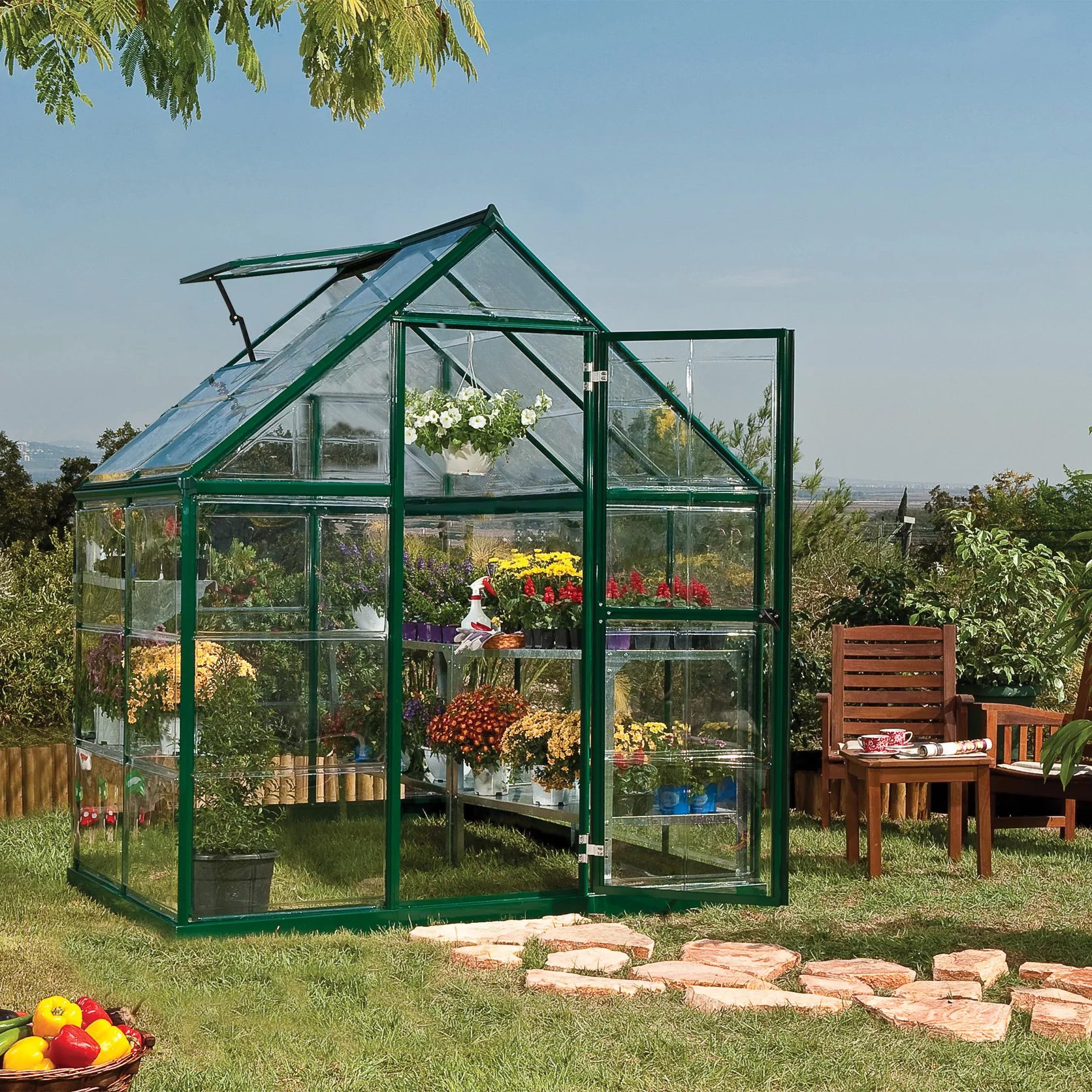 Palram - Canopia Harmony Green 6x4 Greenhouse 3 Palram - Canopia Harmony Green 6x4 Greenhouse