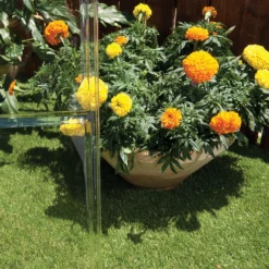 Palram - Canopia Harmony Green 6x6 Greenhouse -Outdoor Garden palram canopia harmony green 6x6 greenhouse7290103110864 06i bq