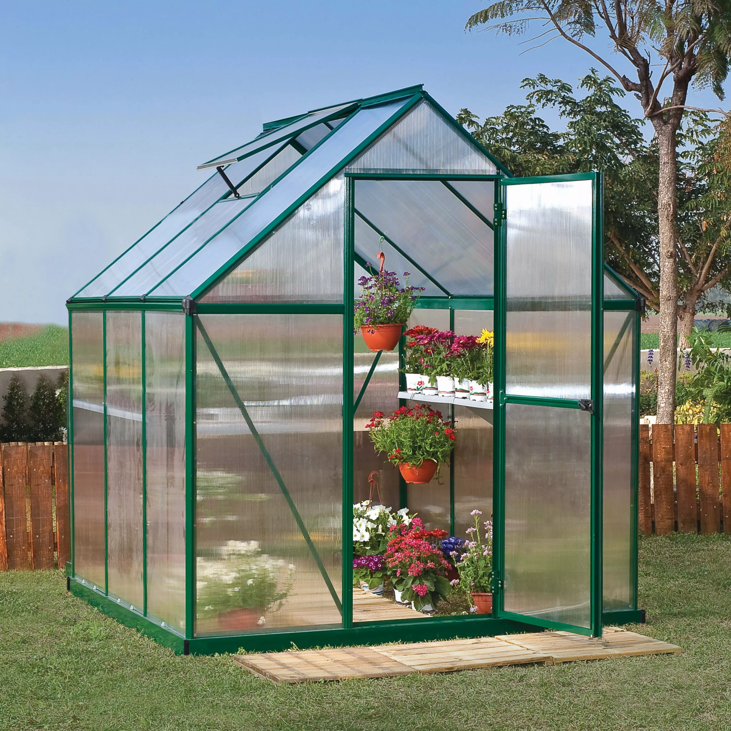 Palram - Canopia Mythos Green 6X6 Greenhouse 3 Palram - Canopia Mythos Green 6X6 Greenhouse