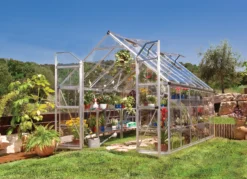 Palram - Canopia Octave Silver Greenhouse -Outdoor Garden palram canopia octave silver greenhouse7290103111472 03i
