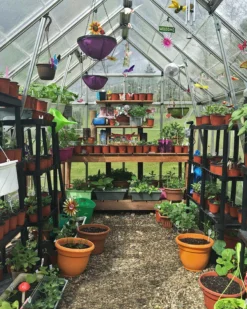 Palram - Canopia Octave Silver Greenhouse -Outdoor Garden palram canopia octave silver greenhouse7290103111472 05i