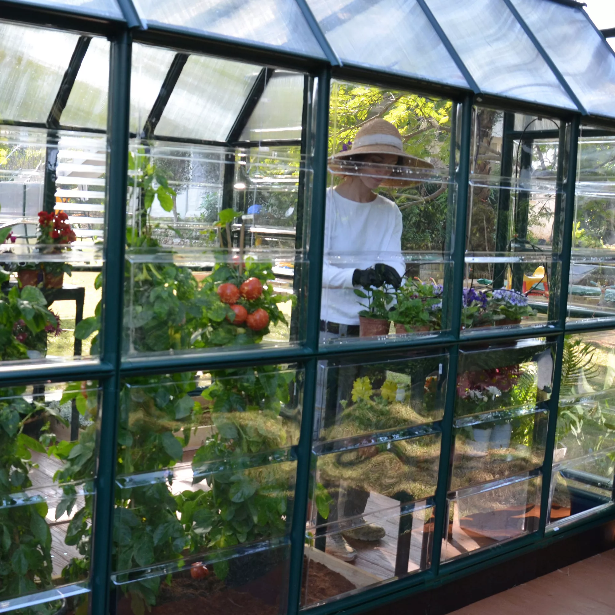 Rion Grand Gardner Green 8x20 Greenhouse 8 Rion Grand Gardner Green 8x20 Greenhouse - Image 6