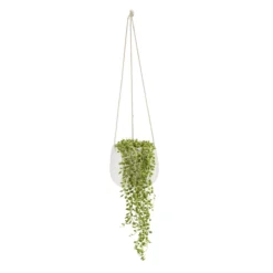 String Of Beads In 13cm White Ceramic Hanging Pot