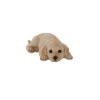 Terrastyle Cream Resin Labrador Puppy Garden Ornament (H)9cm 2 Terrastyle Cream Resin Labrador Puppy Garden Ornament (H)9cm -Outdoor Garden terrastyle cream resin labrador puppy garden ornament h 9cm5021346522129 01c