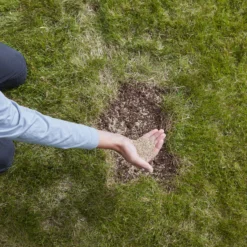 Verve Easy Start Coated Grass Seeds, 1.5kg -Outdoor Garden verve easy start coated grass seeds 1 5kg3663602947493 03i