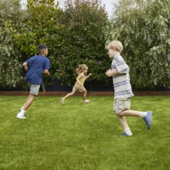 Verve Family & Sports Grass Seeds, 1.5kg -Outdoor Garden verve family sports grass seeds 1 5kg3663602947516 01i