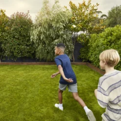 Verve Family & Sports Grass Seeds, 5kg -Outdoor Garden verve family sports grass seeds 5kg3663602947516 03i