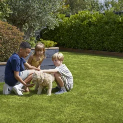 Verve Family & Sports Grass Seeds, 5kg -Outdoor Garden verve family sports grass seeds 5kg3663602947516 04i