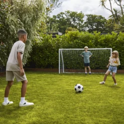 Verve Family & Sports Grass Seeds, 5kg -Outdoor Garden verve family sports grass seeds 5kg3663602947516 09i