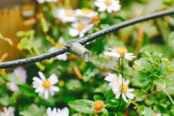 Verve Irrigation Kit 40 Pieces 5 Verve Irrigation Kit 40 Pieces -Outdoor Garden verve irrigation kit 40 pieces5063022059871 02i