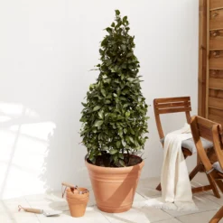 Verve Piave Terracotta Polypropylene (PP) Round Plant Pot (Dia)45cm -Outdoor Garden verve piave terracotta polypropylene pp round plant pot dia 45cm5059340327822 01i