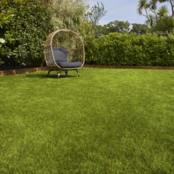 Verve Sunny Grass Seeds, 5kg 8 Verve Sunny Grass Seeds, 5kg -Outdoor Garden verve sunny grass seeds 5kg3663602947578 01i